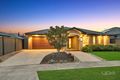 Property photo of 3 Wattle Tree Drive Point Cook VIC 3030