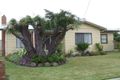 Property photo of 91 Cape Nelson Road Portland VIC 3305
