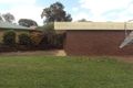 Property photo of 9 Pandanus Street Sunnybank QLD 4109