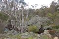 Property photo of 1062 Westbourne Road Mayanup WA 6244