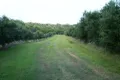 Property photo of 59 Myers Road Moolboolaman QLD 4671