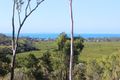 Property photo of 11 View Court Seaforth QLD 4741