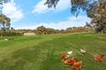 Property photo of 114A Leura Lane Hamilton VIC 3300
