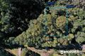Property photo of 5 Main Road Musselroe Bay TAS 7264