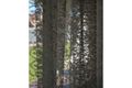Property photo of 10 Alexander Parade Shepparton VIC 3630