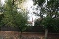 Property photo of 11 Regent Street Millswood SA 5034