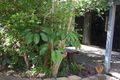 Property photo of 6 The Quarterdeck Noosa Heads QLD 4567