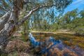 Property photo of 284 Forestry Road Bluewater QLD 4818