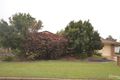 Property photo of 31 Mount Perry Road Bundaberg North QLD 4670