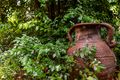 Property photo of 48 Nelson Drive Griffith NSW 2680