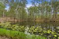 Property photo of 198 Aitcheson Road Kobble Creek QLD 4520