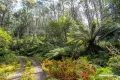Property photo of LOT 1 Bakers Creek Road Lucaston TAS 7109