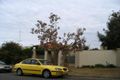 Property photo of 13/1 Wride Street Maroubra NSW 2035