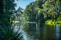 Property photo of 484 Summervilles Road Thora NSW 2454