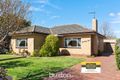 Property photo of 26 Brian Street Bentleigh East VIC 3165
