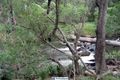 Property photo of 46 Adams Road Wondecla QLD 4887
