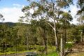 Property photo of 7 Herbert Street Herberton QLD 4887