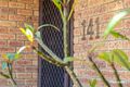 Property photo of 141 Craigie Drive Beldon WA 6027