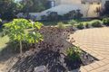 Property photo of 63 Carpenteria Drive Stirling WA 6021