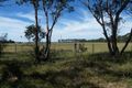 Property photo of 60 Jones Road Eagle Point VIC 3878
