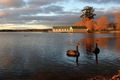 Property photo of 10A Exeter Street Lake Wendouree VIC 3350