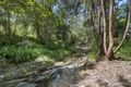 Property photo of 214 Crane Crescent Nerang QLD 4211
