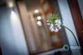 Property photo of 6 Paddington Circuit Baringa QLD 4551