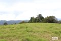 Property photo of 1373 Colling Road Elands NSW 2429