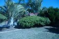 Property photo of 24 Goroka Grove Ballajura WA 6066