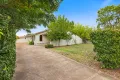 Property photo of 113 Waverley Street Scone NSW 2337