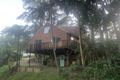 Property photo of 33 Kinabalu Drive Tamborine Mountain QLD 4272