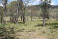 Property photo of 506 Shaws Road Deepwater NSW 2371