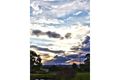 Property photo of 71 Forest Hill Fernvale Road Glenore Grove QLD 4342