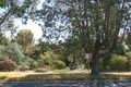 Property photo of 19 Cunningham Terrace Daglish WA 6008