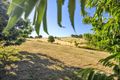 Property photo of 699 Calder Road Calder TAS 7325