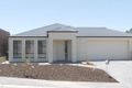 Property photo of 29 Jackaroo Crescent Walkley Heights SA 5098