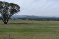 Property photo of LOT 1 Bents Road Ballandean QLD 4382
