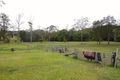 Property photo of 28 McAlpine Way Boambee NSW 2450