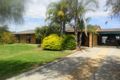Property photo of 37-39 Murrayville Road Pinnaroo SA 5304