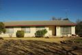 Property photo of 19 William Street Wellington NSW 2820