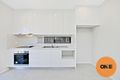Property photo of 19A Darcy Avenue Lidcombe NSW 2141