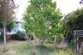 Property photo of 131 Coramba Road Dorrigo NSW 2453