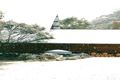 Property photo of 2816 Bates Road Torrington NSW 2371