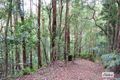 Property photo of 285 Pine Log Road Doon Doon NSW 2484
