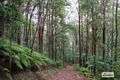 Property photo of 285 Pine Log Road Doon Doon NSW 2484