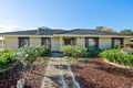 Property photo of 11 Packer Crescent Paradise SA 5075