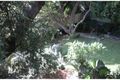 Property photo of 57 Park Avenue Cremorne NSW 2090