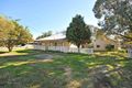 Property photo of 77 Buckingham Road Swan View WA 6056