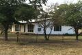 Property photo of 37 Bendeela Street Elong Elong NSW 2831