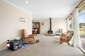 Property photo of 31 Bunga Street Bermagui NSW 2546